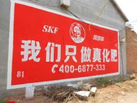 保靖刷墙广告”蕴含了时代命题