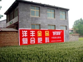 保靖如何让墙体广告展现最大化效果