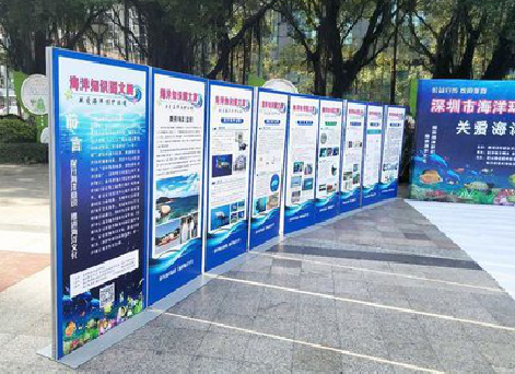 保靖KT板的种类和知识。